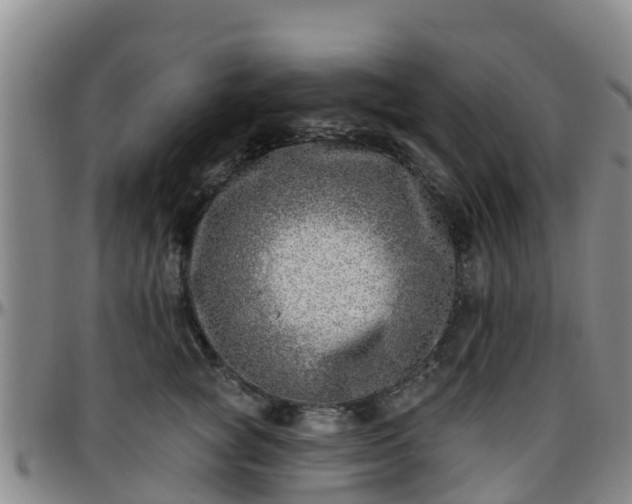 X0000096450757200801311450