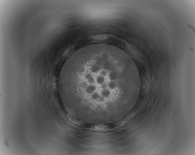 X0000096450758200801311450