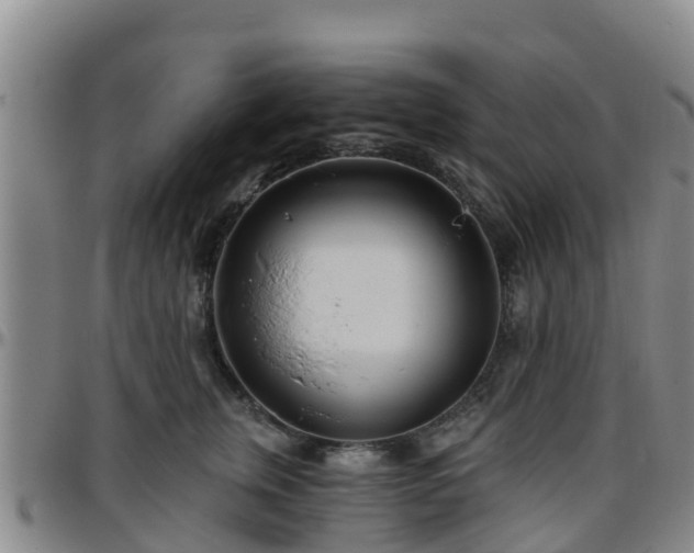 X0000096450759200801311450