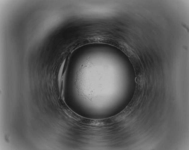 X0000096450760200801311450