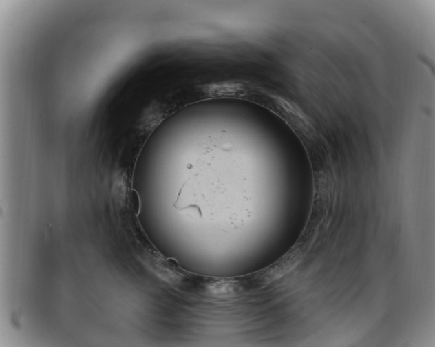 X0000096450761200801311450