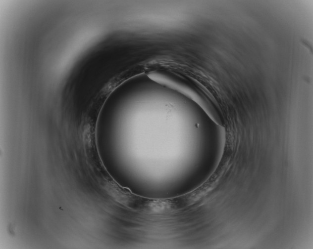 X0000096450762200801311450