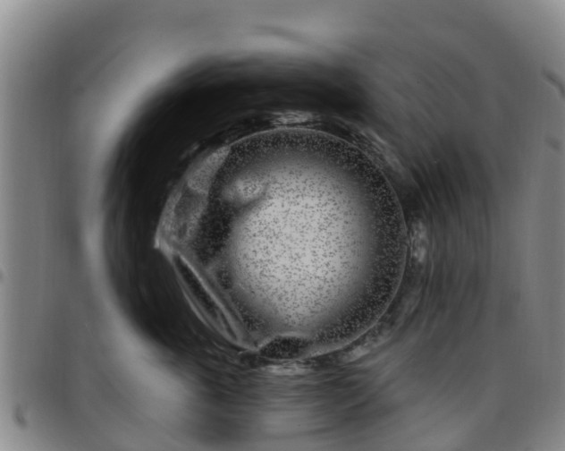 X0000096450763200801311450