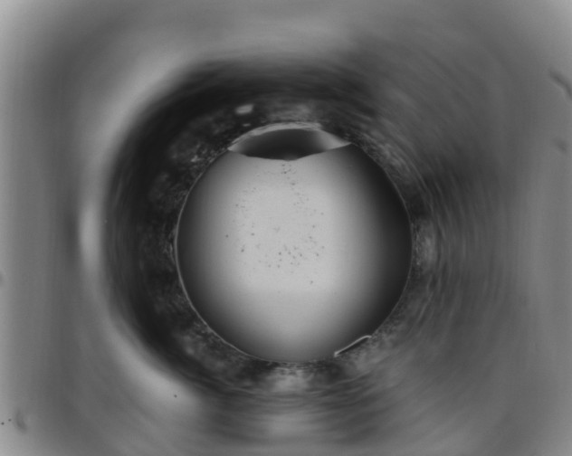 X0000096450764200801311450