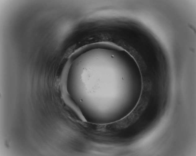 X0000096450766200801311450