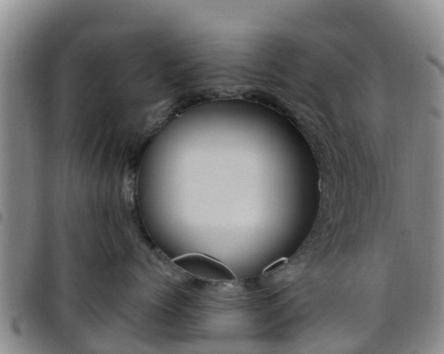 X0000096450768200801311450