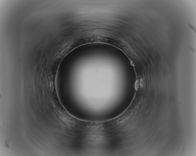 X0000096450771200801311450