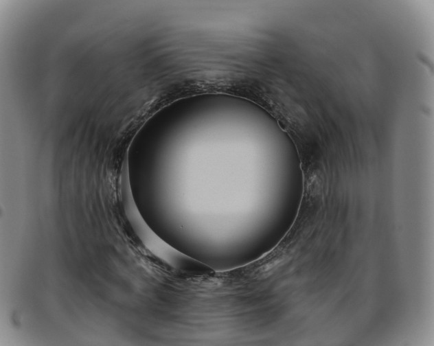 X0000096450772200801311450