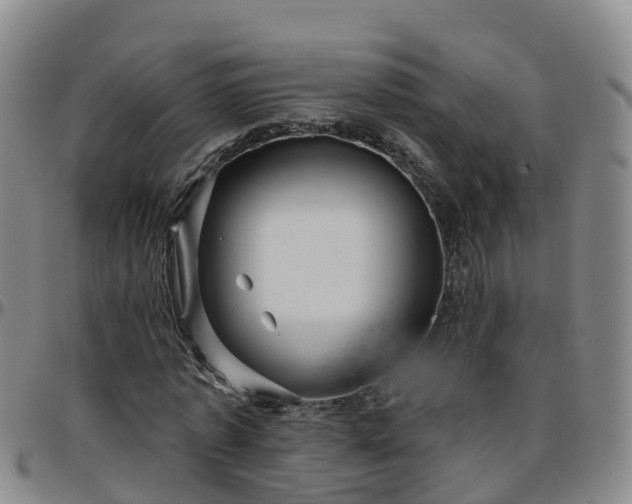 X0000096450773200801311450