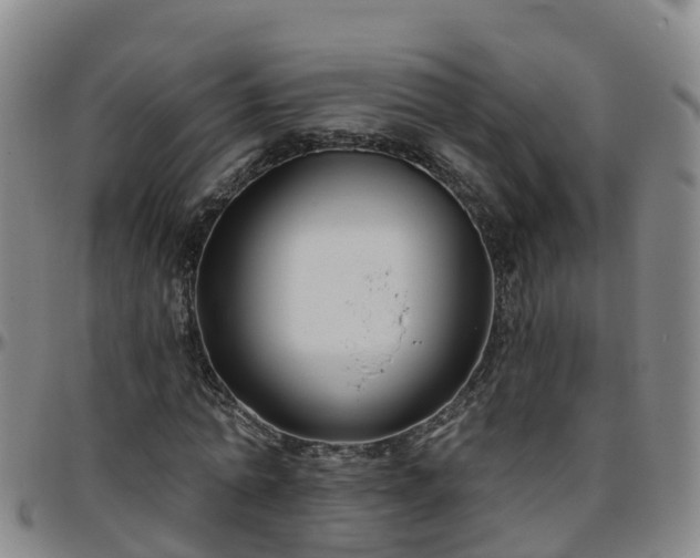 X0000096450774200801311450