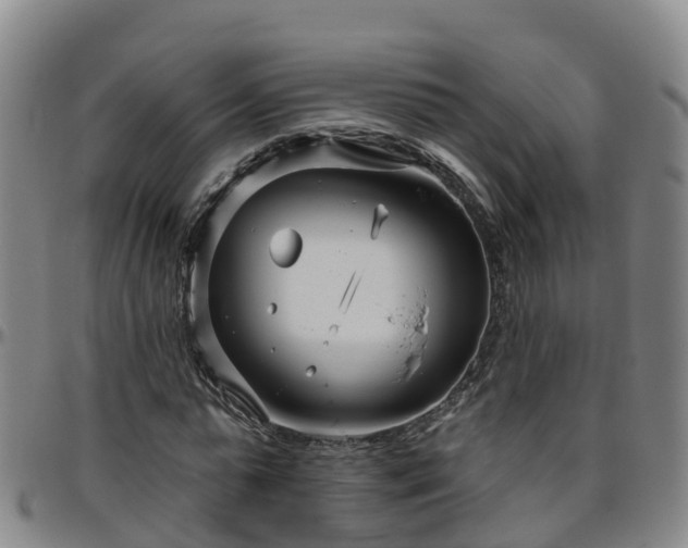 X0000096450775200801311450