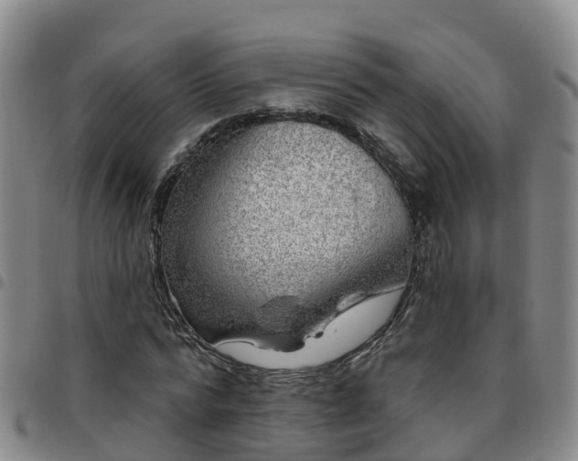 X0000096450776200801311450