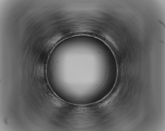 X0000096450777200801311450