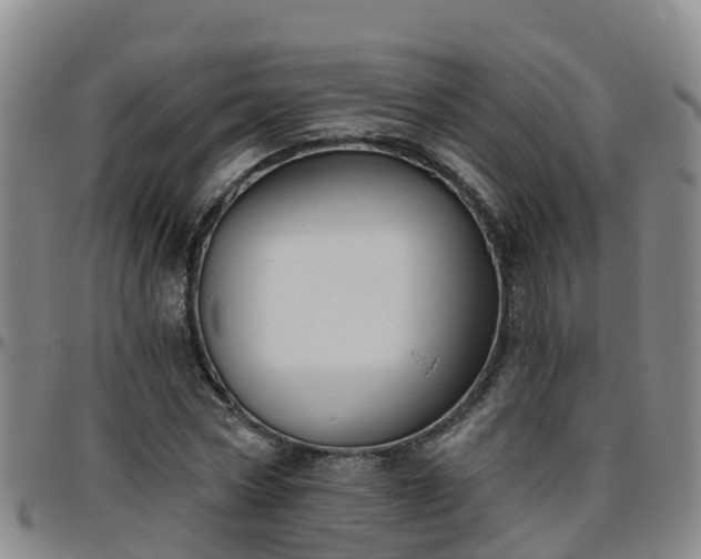 X0000096450778200801311450