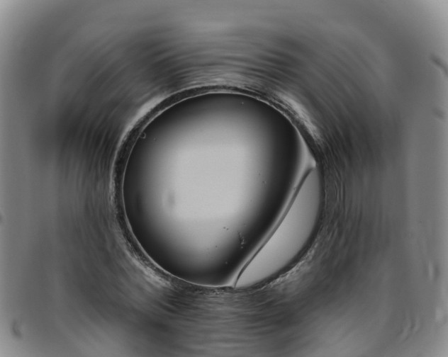 X0000096450780200801311449