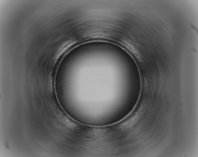 X0000096450782200801311449