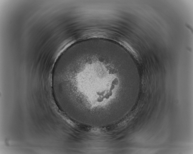 X0000096450790200801311449