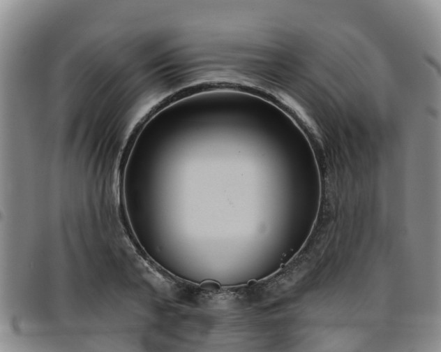 X0000096450791200801311449