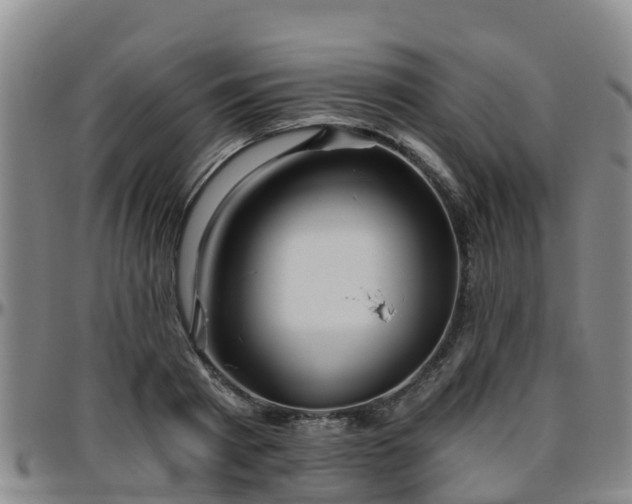 X0000096450793200801311449
