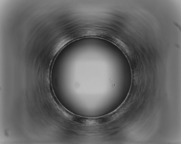 X0000096450794200801311449