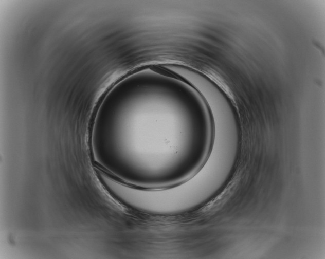 X0000096450797200801311449