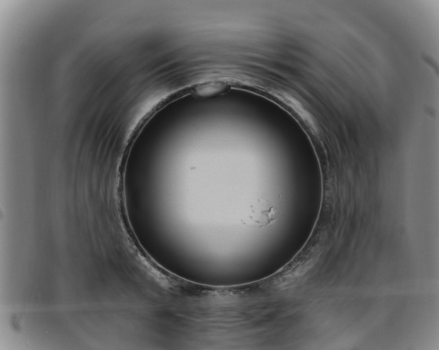 X0000096450799200801311449