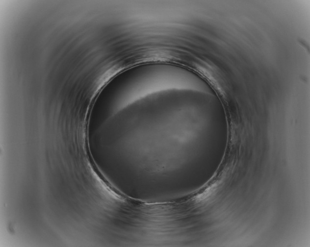 X0000096450802200801311449