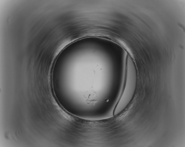 X0000096450803200801311449