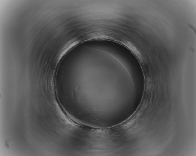 X0000096450806200801311449