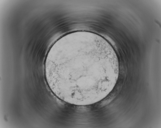 X0000096450807200801311449