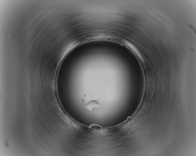 X0000096450810200801311449