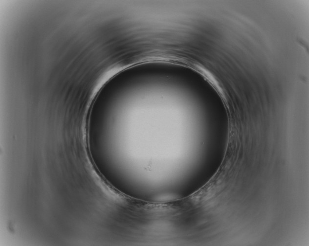 X0000096450811200801311449