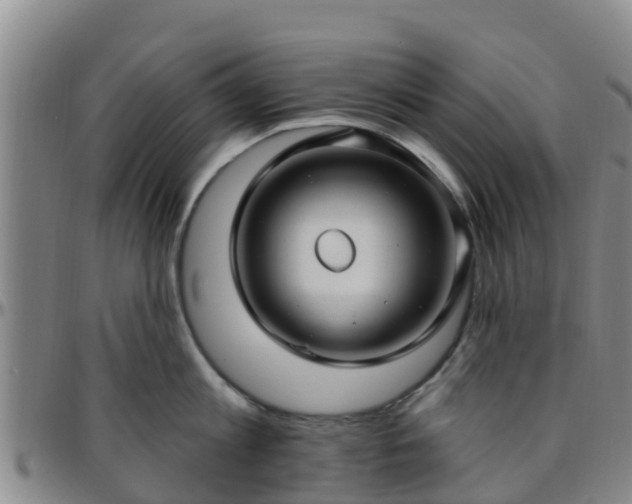 X0000096450813200801311449