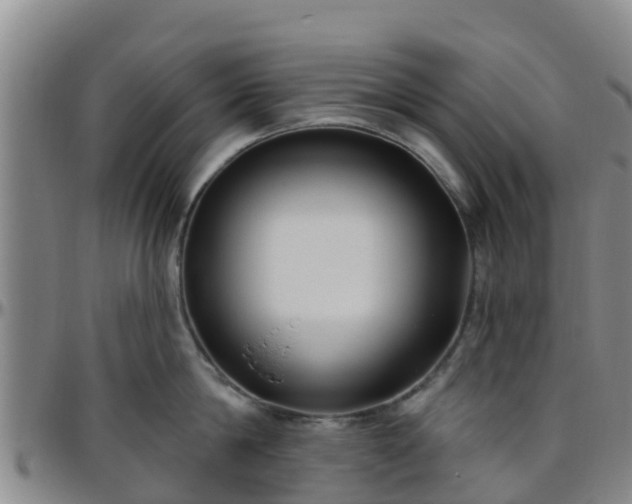 X0000096450814200801311449