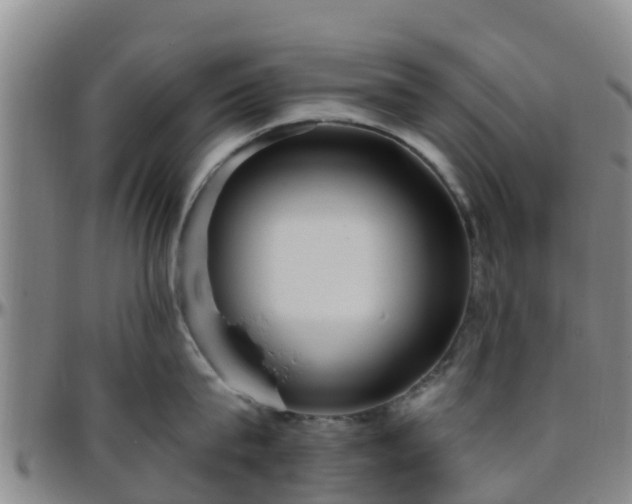 X0000096450815200801311449