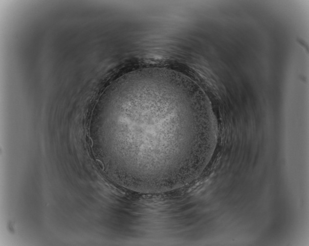 X0000096450817200801311448