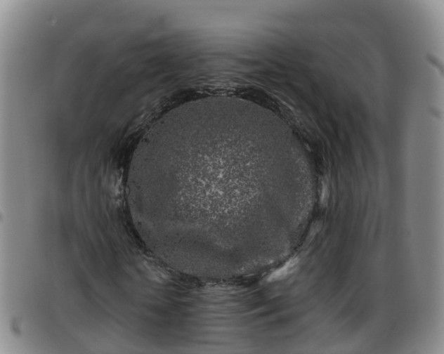 X0000096450818200801311448