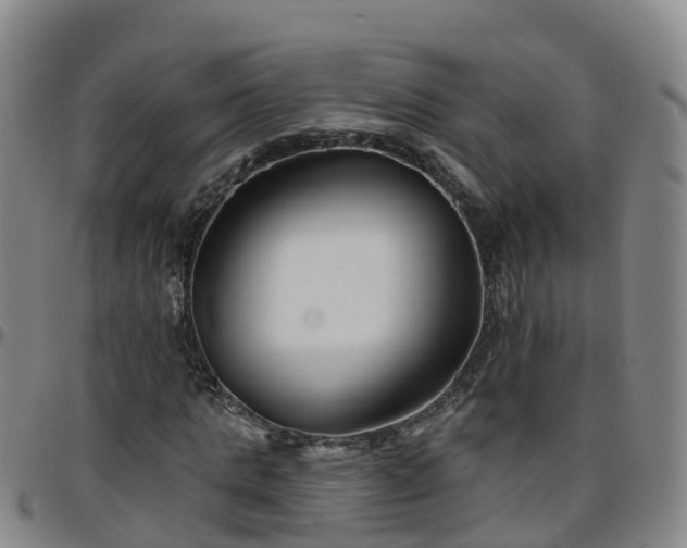 X0000096450821200801311448