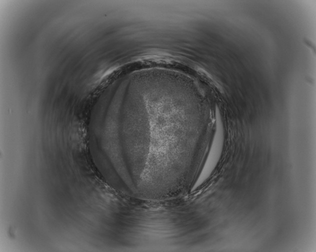 X0000096450822200801311448
