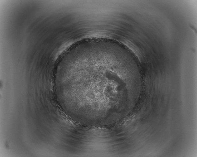 X0000096450823200801311448