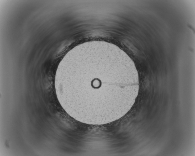 X0000096450824200801311448