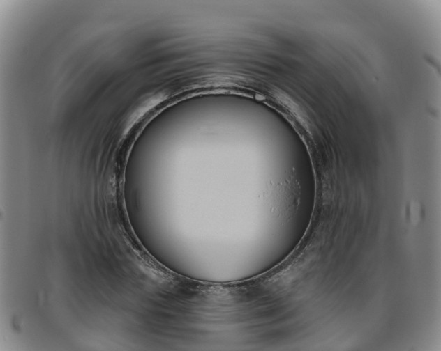 X0000096450827200801311448