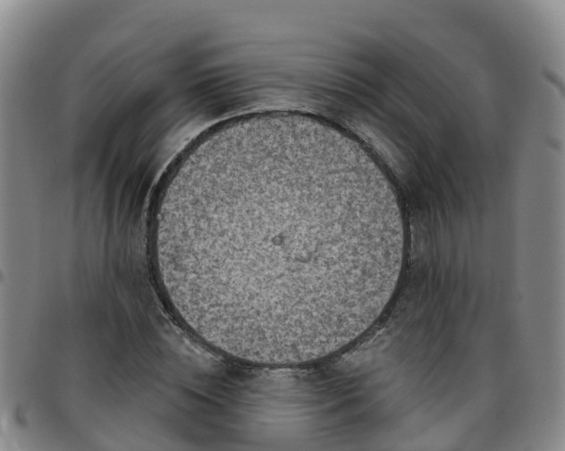 X0000096450828200801311448