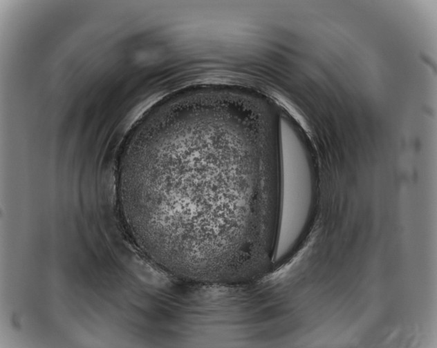 X0000096450829200801311449