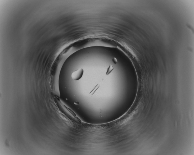 X0000096450830200801311449