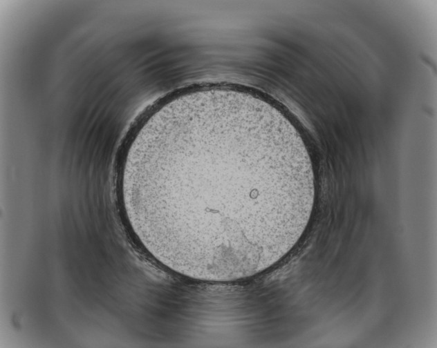 X0000096450832200801311449