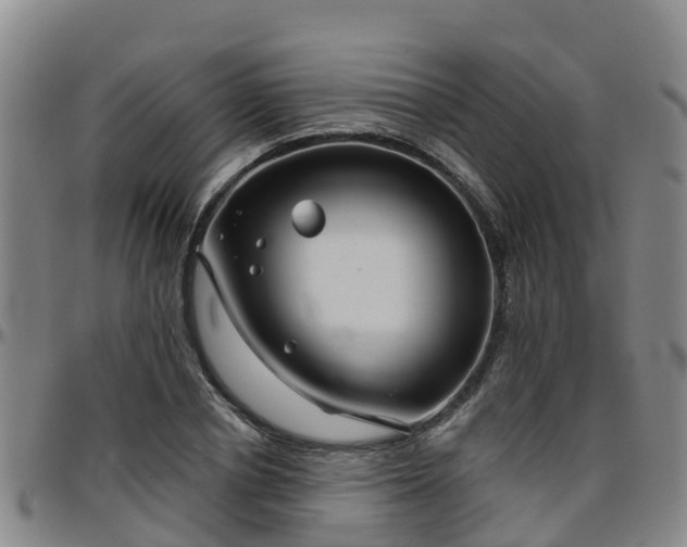 X0000096450834200801311449