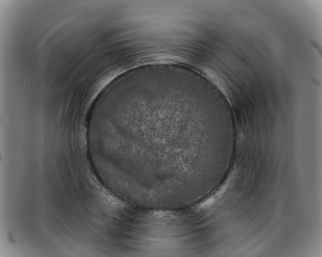 X0000096450835200801311449