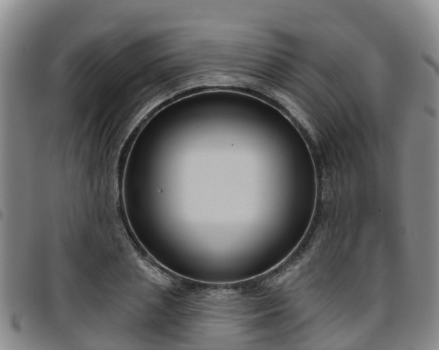 X0000096450837200801311449