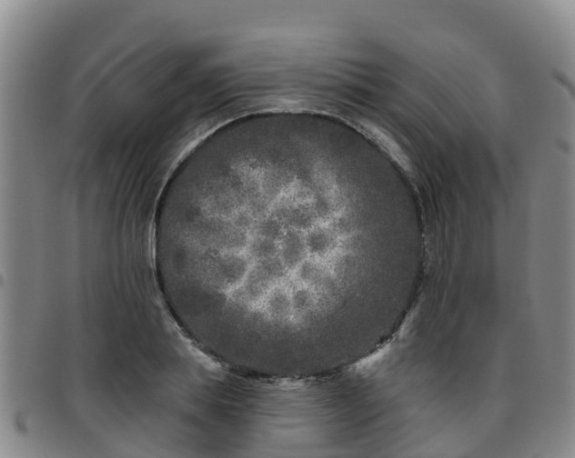 X0000096450839200801311449